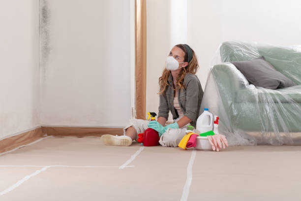 Reliable Basement Mold Remediation contractor in Buckley, MI by Mold Remediation HQ